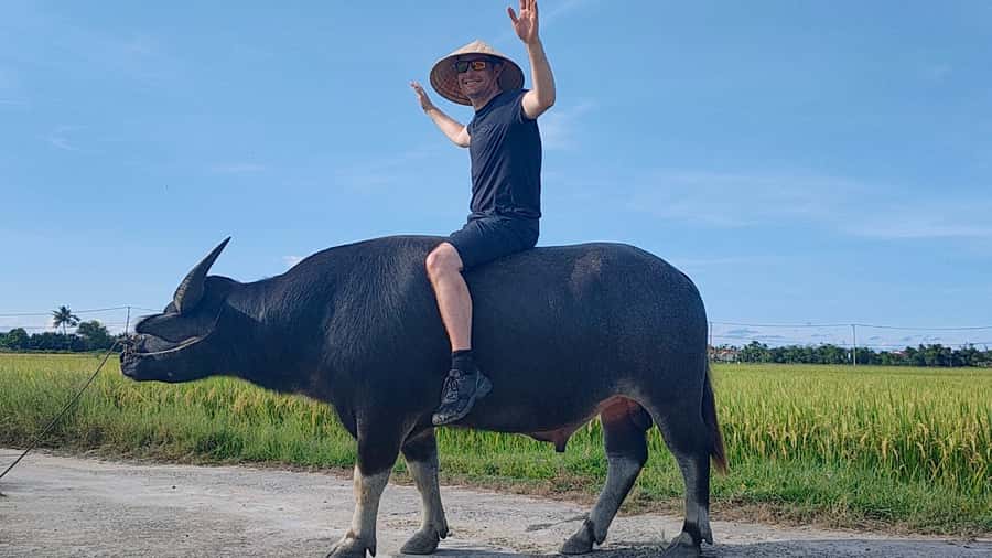 Cycling, Water Buffalo Riding, Traditional Farming Life - Key Highlights to Expect