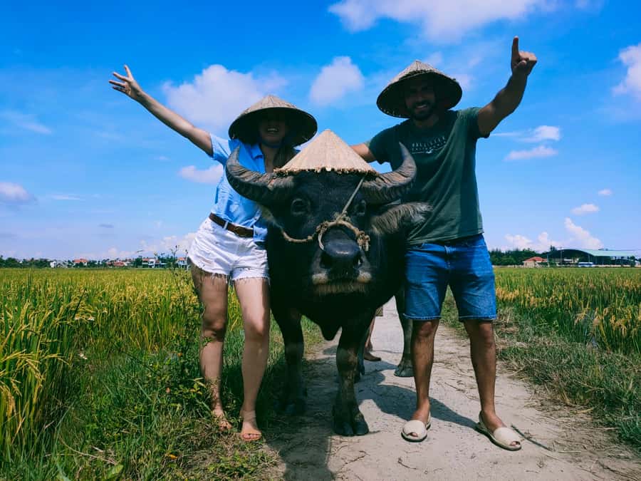 Cycling, Water Buffalo Riding, Traditional Farming Life - Meeting Farmers in the Rice Paddies, Not Just Looking At Them