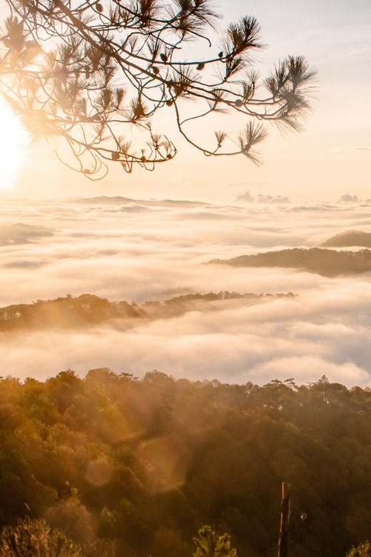 Da Lat: Chasing the Sunrise - A Mini Trek Adventure - Viewpoint time: coffee, artichoke tea, and the sunrise or sea of clouds moment
