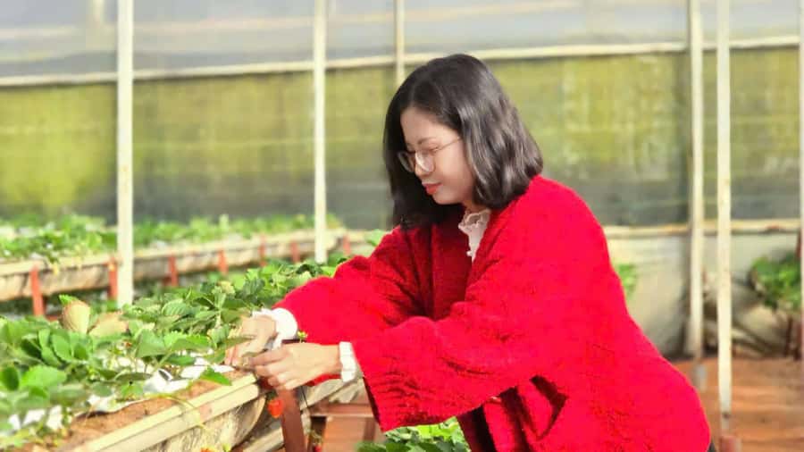 Da Lat: Cloud Hunting and Nature Morning Tour - FAQ