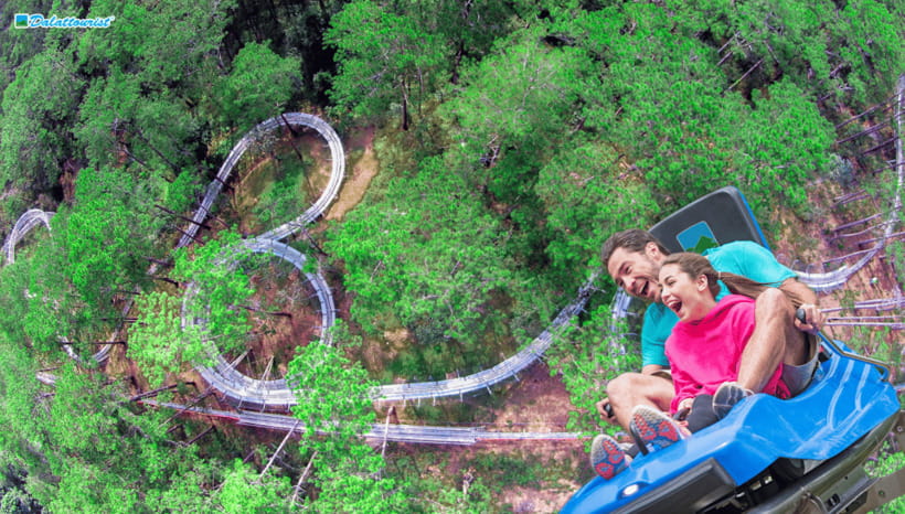 Da Lat: Datanla New Alpine Coaster Experience Entry Ticket - The alpine coaster: 2,400 meters of pine-forest adrenaline