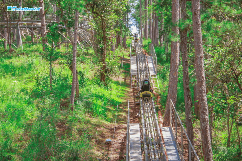 Da Lat: Datanla New Alpine Coaster Experience Entry Ticket - Getting to Datanla in Prenn Pass, and why early beats lines