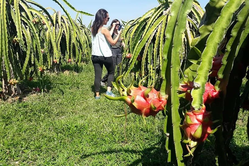 Da Lat Loop Tour On Private Car - Agriculture around Dalat: coffee, pepper, rice, vegetables