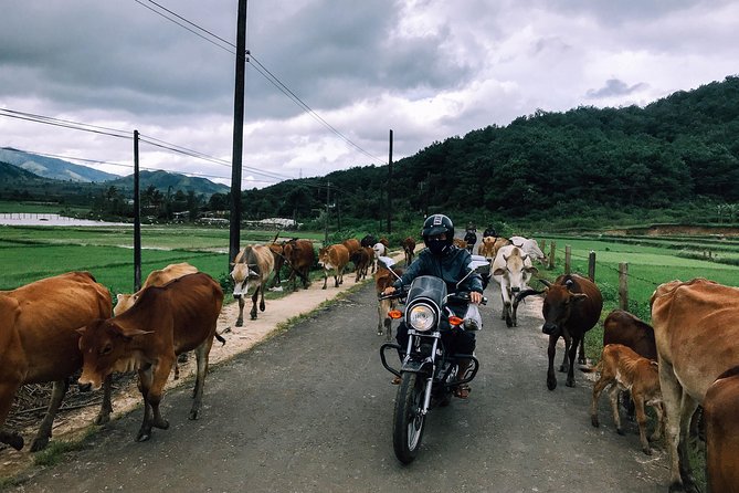 Da Lat's Countryside & Waterfalls Day Tour by Motorbike - Key things that make this Da Lat motorbike day tour work