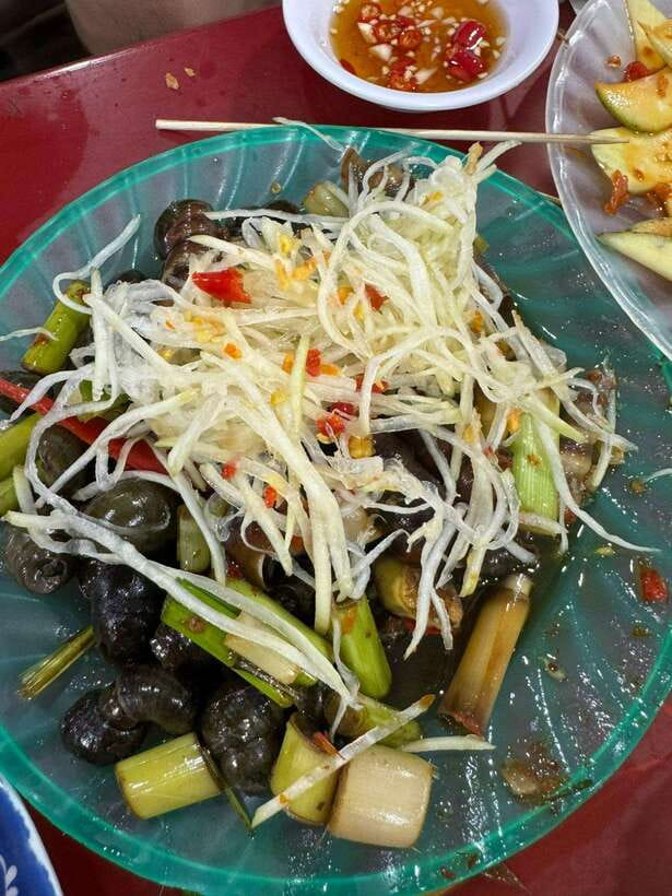 Da Nang City Street Food Private Tour With Local Students - The Motorbike Experience: Fun, Fast, and Worth Preparing For