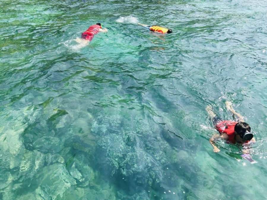Da Nang/Hoi An:Explore Cham Island and Snorkeling tour 1 Day - First Island Stops: Bãi Làng, Biosphere Reserve, Pagoda, Well, Market