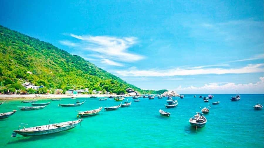 Da Nang/Hoi An:Explore Cham Island and Snorkeling tour 1 Day - Local Lunch on the Island: Included, and Often a Real Meal