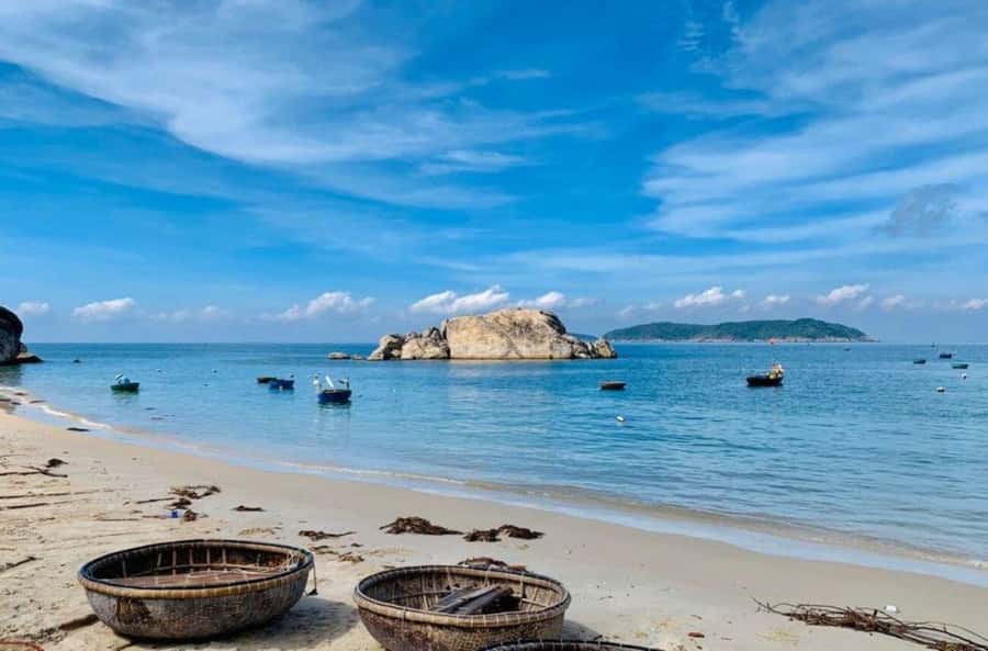 Da Nang/Hoi An:Explore Cham Island and Snorkeling tour 1 Day - Beach Time After Lunch: The Part You Should Actually Slow Down For