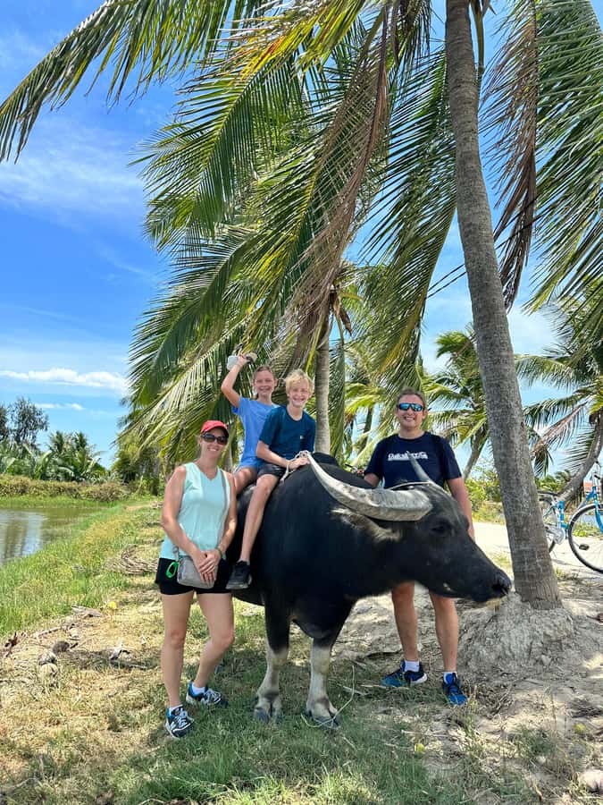 Da Nang or Hoi An: Countryside Bike & Basket Boat Tour - Quick reasons this tour gets high marks