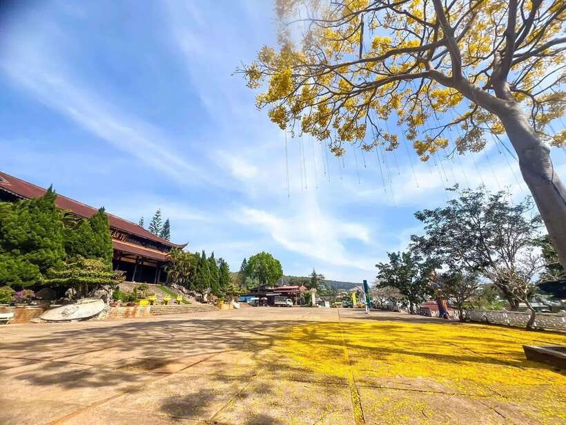 Dalat: 3 Waterfalls Day Tour — Datanla, Pongour & Elephant - Morning warm-up: Van Thanh Flower Village and the countryside start