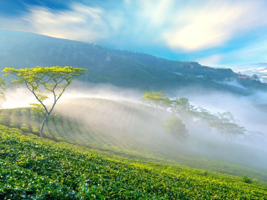 Dalat: Best of the Countryside Tour in a Private Car - Private car day, no tourist crush on the roads