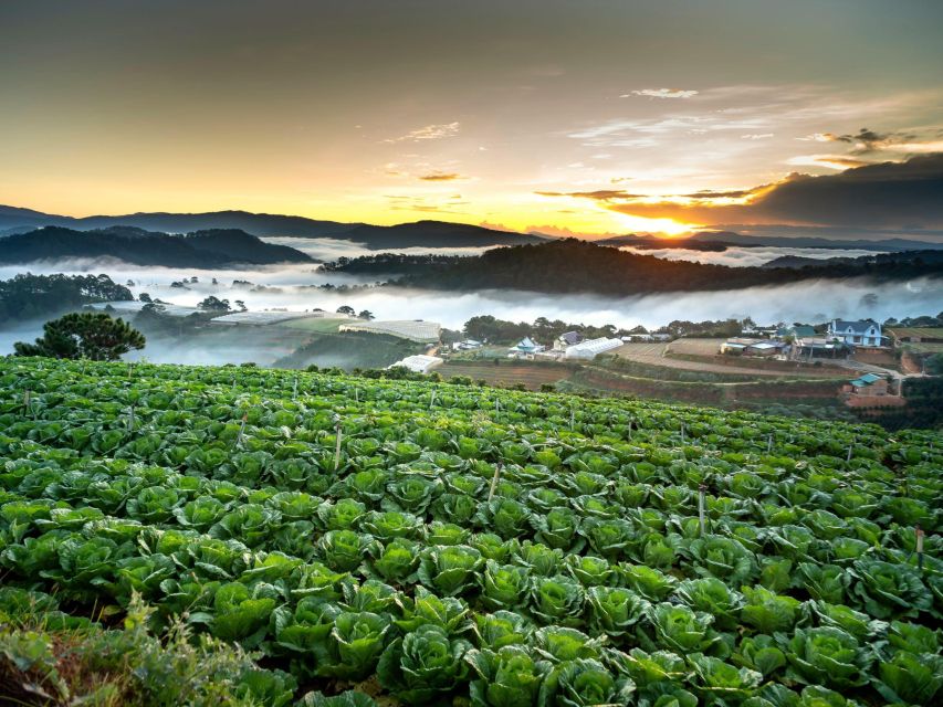 Dalat: Best of the Countryside Tour in a Private Car - Pongour Falls and the quiet contrast of lake time