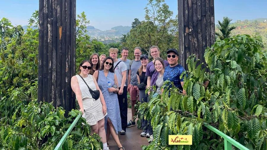 Dalat Countryside - Crazy house & Mario Kart & Mongo Land - Elephant Waterfall Is Temporarily Closed, Linh An Pagoda Still Delivers