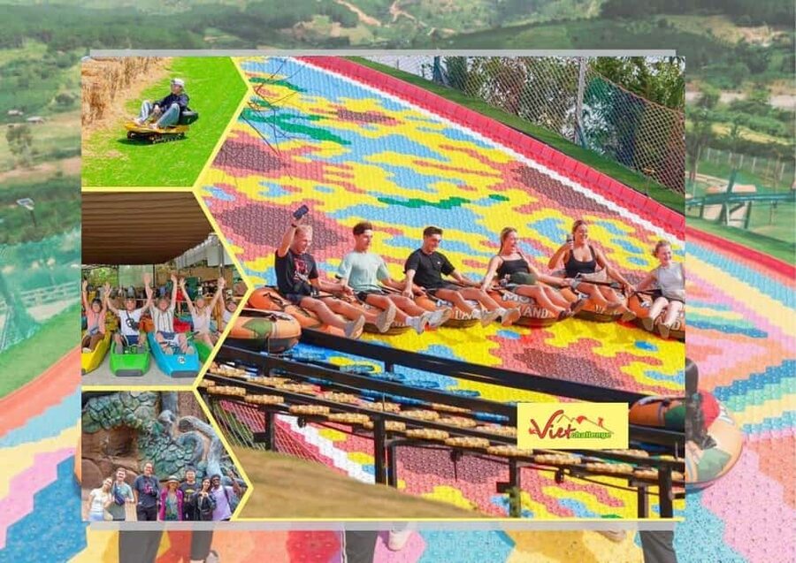 Dalat Countryside - Crazy house & Mario Kart & Mongo Land - Flower Highland, Rose Gardens, and a Tree That Has Seen It All