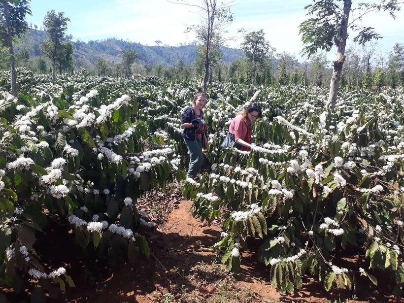 Dalat Countryside Motorbike Day Tour–Coffee Farms & Pagodas - How the Dalat Easy Rider motorbike day tour actually feels