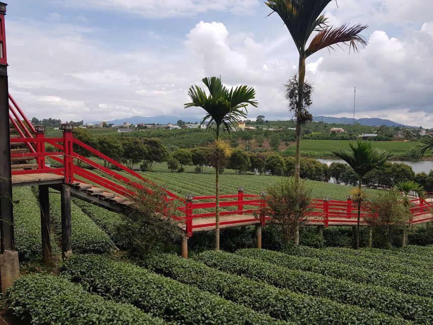 Dalat: Countryside Tour with Silk Village & Elephant Falls - Crazy House (Hang Nga Guest House): The Dreamlike Finish