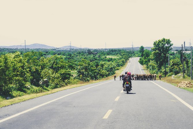 Dalat Go Kart - Mongoland & Dalat Countryside Group Tour - Mario-style downhill go-kart at KDL Sinh Thái