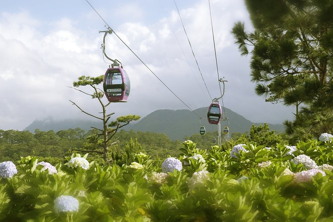 Dalat Private Tour Package in 2 Days - Should you book this Da Lat private 2-day package?