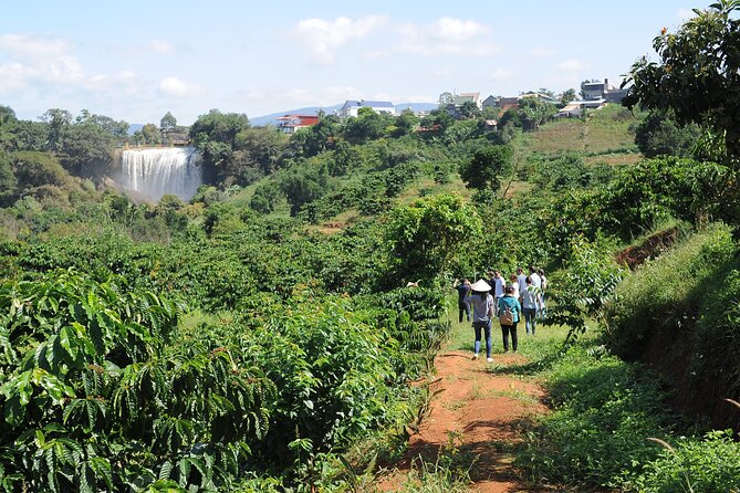 Dalat's countryside|Coffee Plantations Tour beyond Elephant falls - Timing and where you go in the Lam Dong countryside