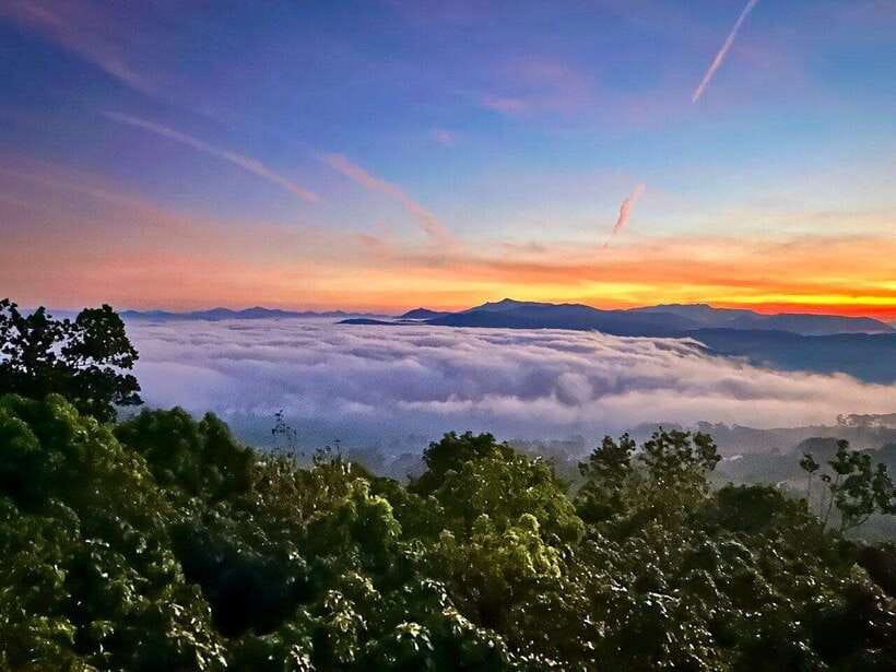 DaLat: Sunrise, Clouds, Peaceful Mornings from 4:00 to 10:00 - Getting there: pickup, ride time, and what to expect from the morning flow