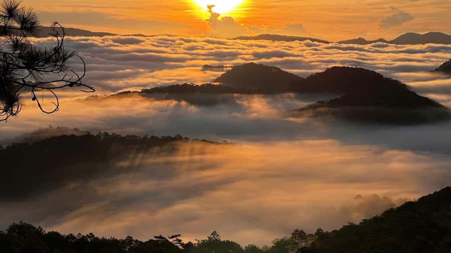 Dalat: Sunrise Trekking and Cloud Hunting experience - Should you book it?