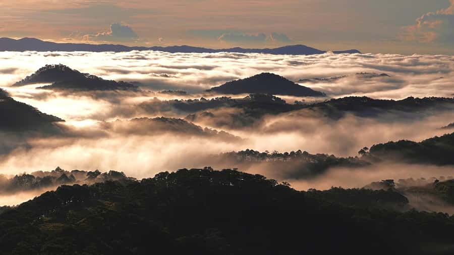Dalat: Sunrise Trekking and Cloud Hunting experience - Who should book this sunrise trekking and cloud hunting tour