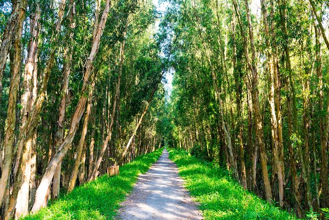 Discover Mua Xuan Nature Reserve - Bamboo Basket Village: turning bamboo and rattan into everyday art