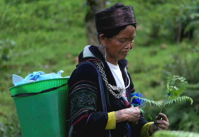Discover Sapa: 2D1N Trekking Adventure & Cozy LaLa Homestay - Who This Sapa Experience Suits Best