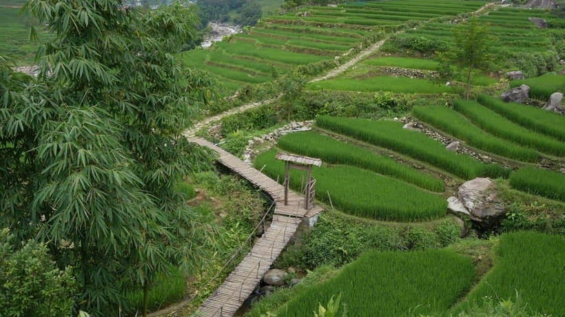 Easy Trek in Sapa mountain : Y Linh Ho - Lao Chai - Ta Van - Key highlights I’d circle in advance