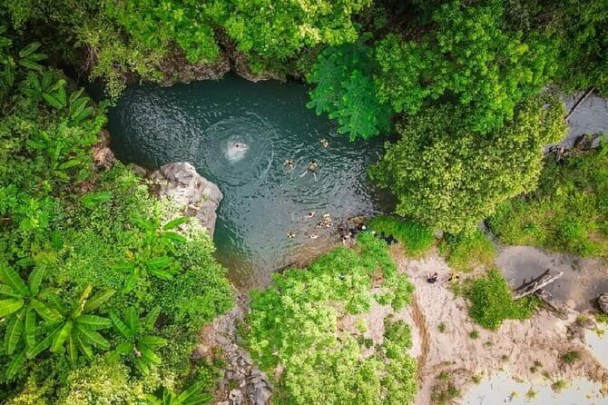 Elephant cave and Mada valley Jungle trek - 1Day - Key highlights at a glance