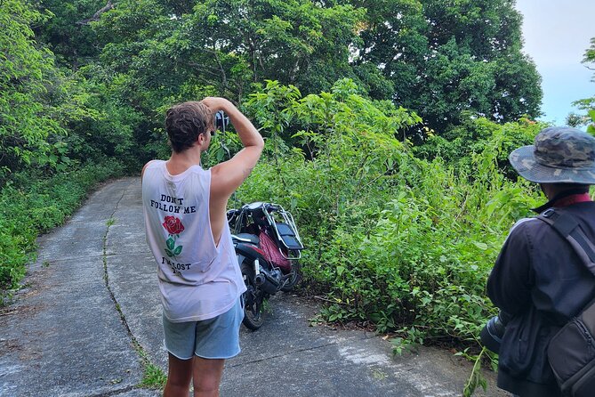 Endangered Monkeys Watching - Red Shanked Douc Langurs - Monkey-spotting mode: binoculars, patience, and real behavior tips