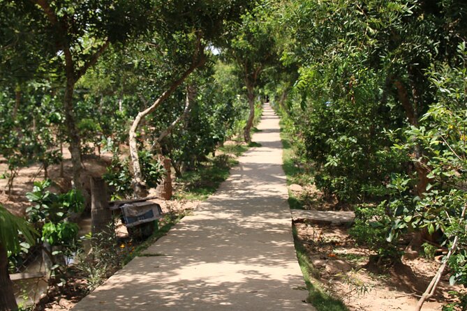 Essential Mekong Delta: Highlights Tour from Ho Chi Minh City - The Mekong Delta, in one long, well-paced morning to evening