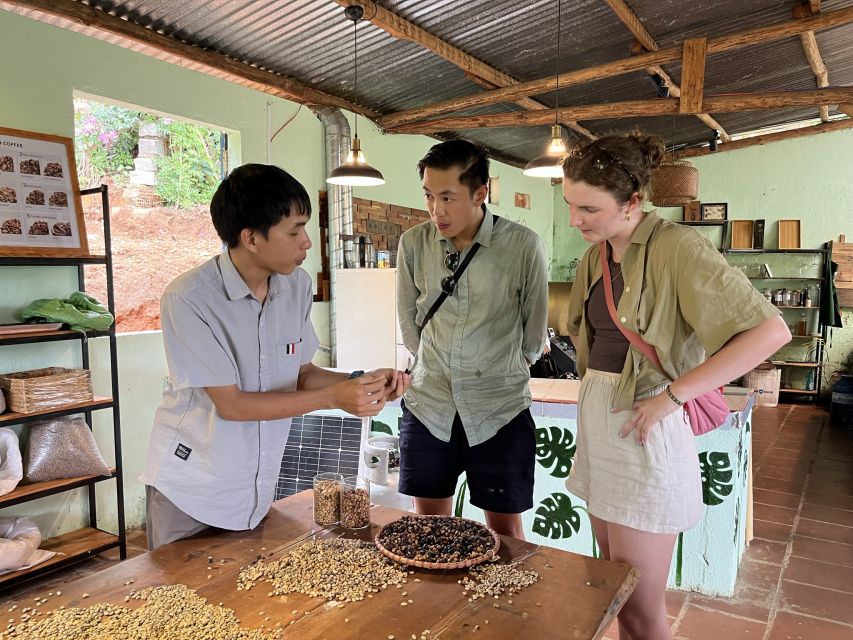 Experience specialty coffee with sustainable coffee farmers - Roasting your own beans, from green to brown