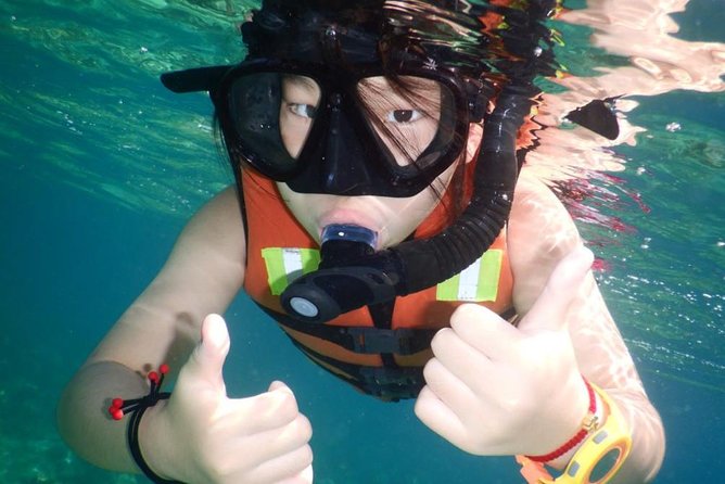 Explore Nha Trang Bay: Half-Day Snorkeling Adventure Tour - Price and value at $40: what you get and what you should compare