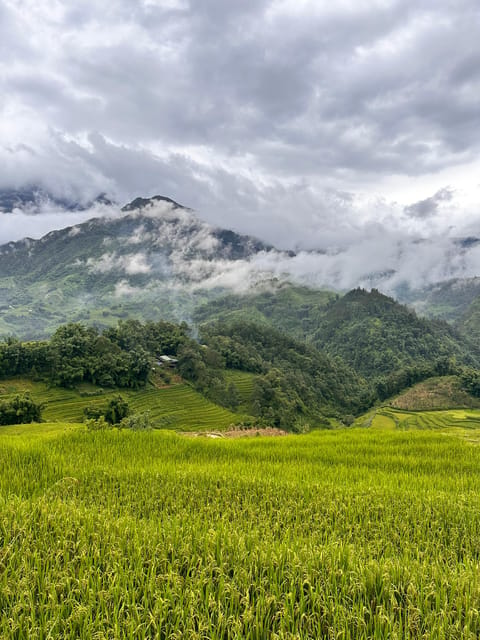 Explore Sapa by TrekkingAdventures, Mountain,Rice fields - Key things I’d circle before you go