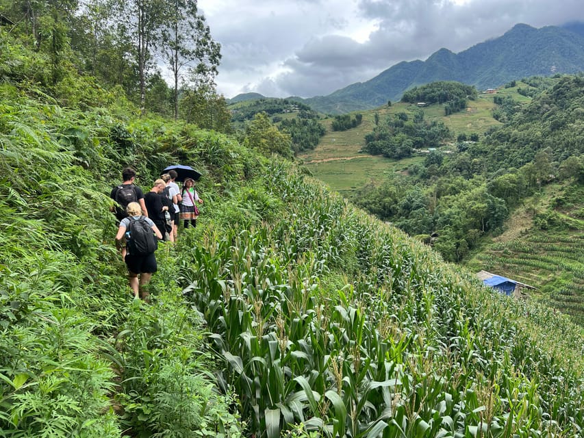 Explore Sapa by TrekkingAdventures, Mountain,Rice fields - Y Linh Ho and the Black Hmong village rhythm on the move