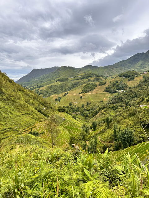 Explore Sapa by TrekkingAdventures, Mountain,Rice fields - Picking the right route: easy, hard, and the reality of steep downhills