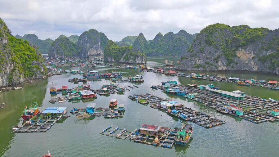 From Cat Ba: Lan Ha and Monkey Island Full Day Boat Trip - Price Breakdown: What the $22 Really Buys You