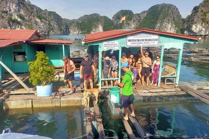 From Ha Noi/Cat Ba: Full-Day Cruise to Lan Ha bay - Ha Long Bay - Why this Lan Ha and Ha Long combo works for one day