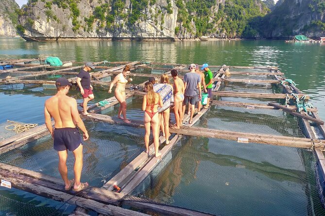 From Ha Noi/Cat Ba: Full-Day Cruise to Lan Ha bay - Ha Long Bay - Timing on the water: how the day flows from Cat Ba