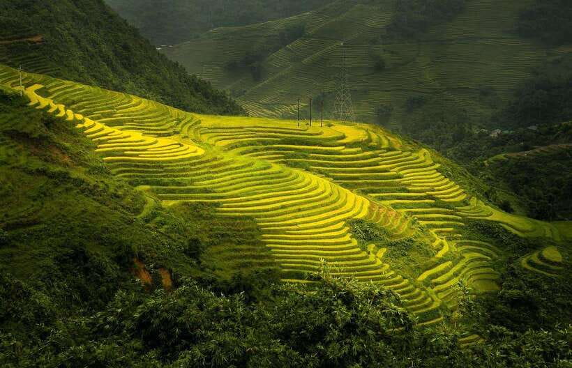 From Hanoi: 1-day Sapa Trekking Tour With Overnight Bus - The Hanoi to Sapa night bus: arrive, rest, then start walking