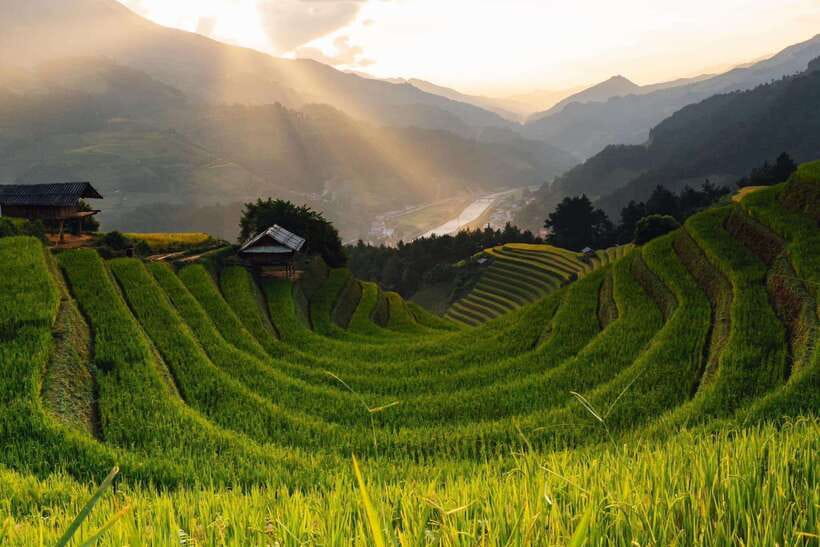 From Hanoi: 1-day Sapa Trekking Tour With Overnight Bus - 6.5 miles through Muong Hoa Valley: rice terraces and the Lao Chai direction