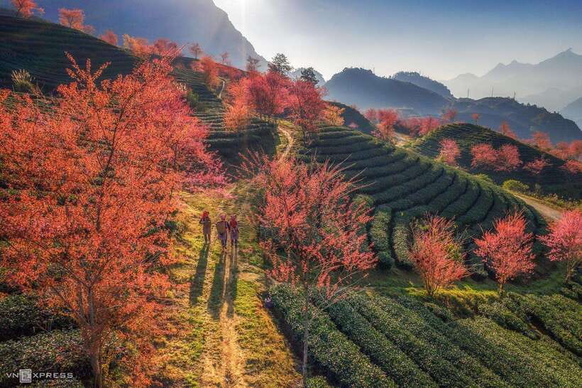 From Hanoi: 1-day Sapa Trekking Tour With Overnight Bus - Price and what you actually get for $52