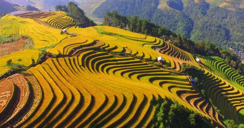 From Hanoi: 1-day Sapa Trekking Tour With Overnight Bus - Weather in March and December: fog, mud, and practical packing
