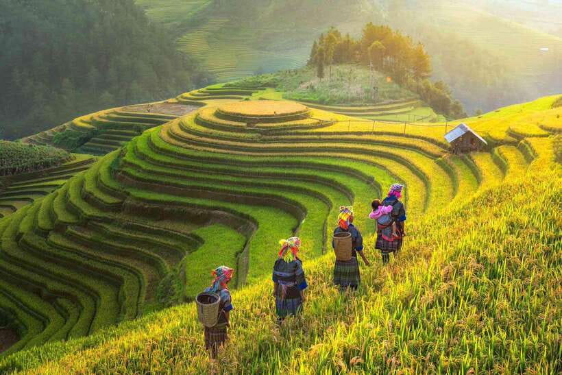 From Hanoi: 1-day Sapa Trekking Tour With Overnight Bus - Guide style and group pace on slippery steps