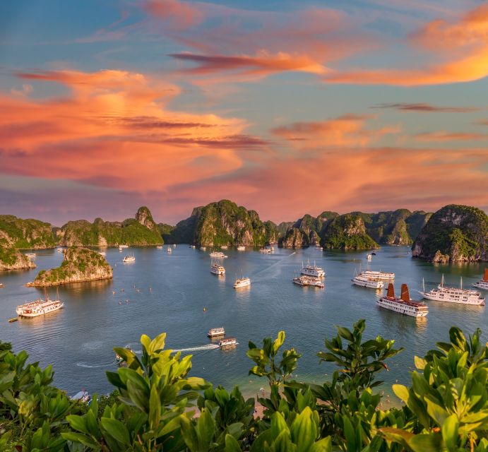 From Hanoi: 2-Day Ha Long Bay Tour with Ninh Binh and Cruise - What to bring, and who this trip fits best