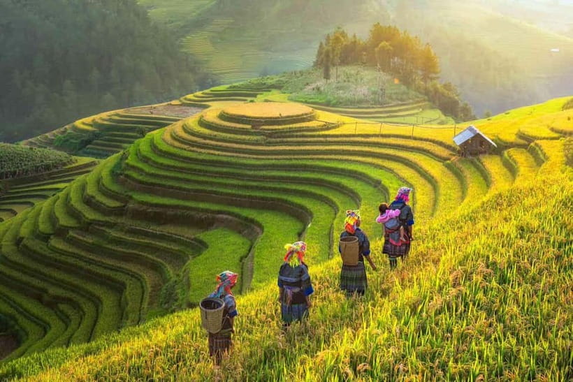 From Hanoi: 2-Day Luxury Sapa Trekking Tour with Homestay - Day 1 Trek From Y Linh Ho To Lao Chai, With Muong Hoa Valley Views