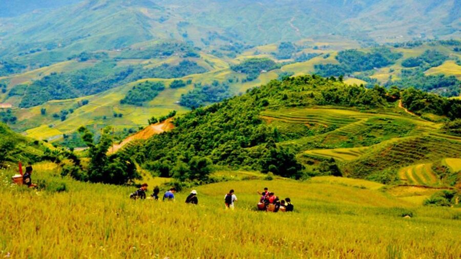 From Hanoi: 2-Day Overnight Sapa Tour by Limousine - Practical Tips for Cold, Foggy, and Slippery Sapa