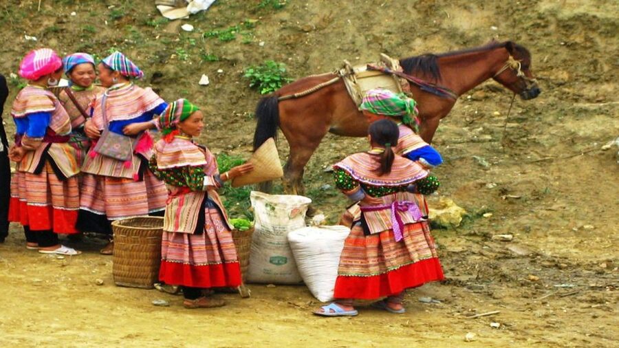 From Hanoi: 2-Day Overnight Sapa Tour by Limousine - Who This Sapa Tour Fits Best
