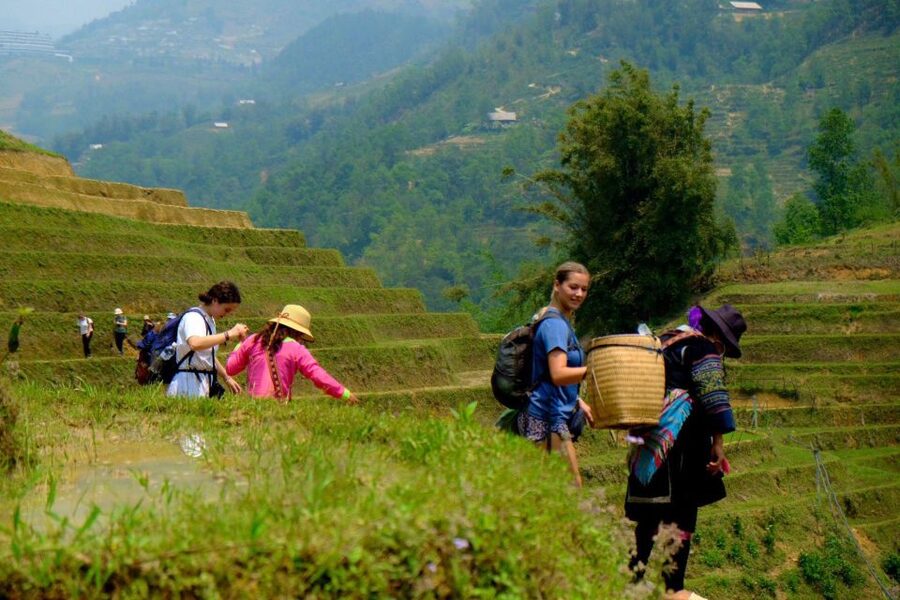 From Hanoi: 2-Day Sapa, Fansipan, and Muong Hoa Valley Tour - Day 1: Hanoi to Sapa, then Fansipan Peak in one focused push